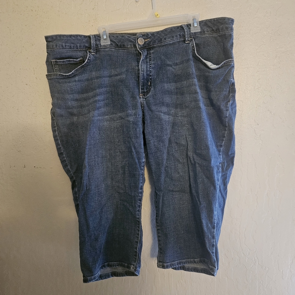 Riders by Lee Capri size 22w